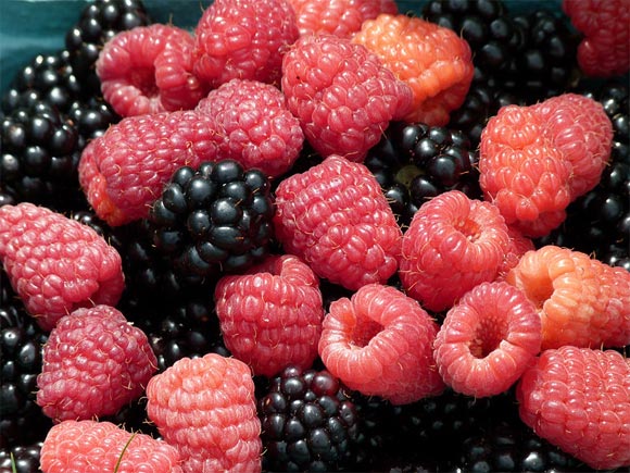 Top 12 foods that help FIGHT cancer