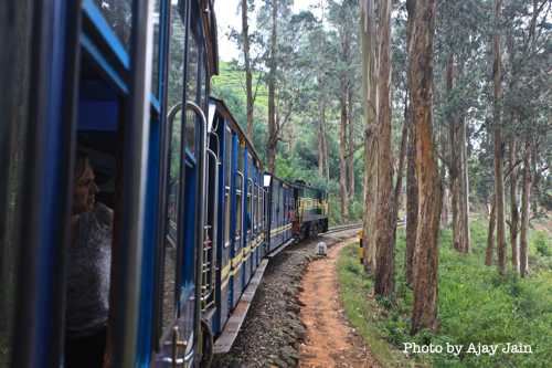 PHOTOS: The Nilgiri Mountain Railway