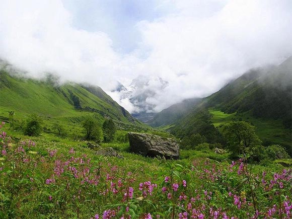 2. Valley of Flowers, Uttarakhand