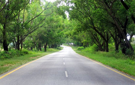 Hassan-Belur/Halebid Highway.