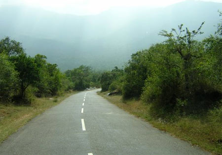 Masinagudi-Ooty Highway via Kalhatty.