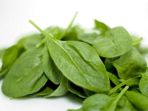 The Sugar Busters Diet involves eating high-fibre vegetables like spinach