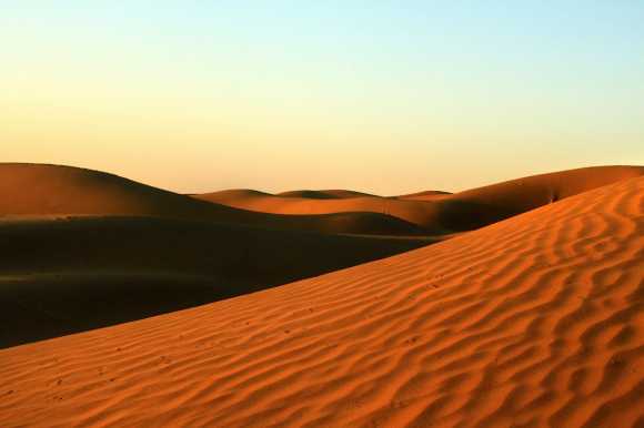 The Thar desert in Rajasthan