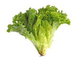 Lettuce