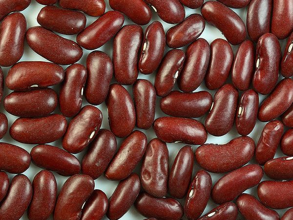 Kidney beans among other foods are an important source of magnesium