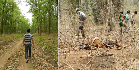 (Left) Govind taking a walk in the forest and (right) image of the killing