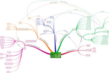 A mindmap assignment