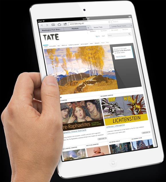 Apple iPad Mini: Will YOU buy it for Rs 18k?