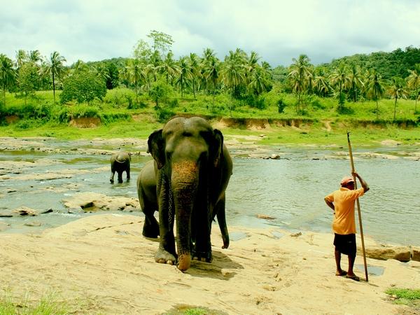 Sri Lanka