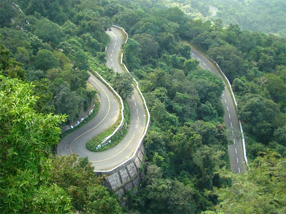 Travel: Driving through a Kerala rainforest