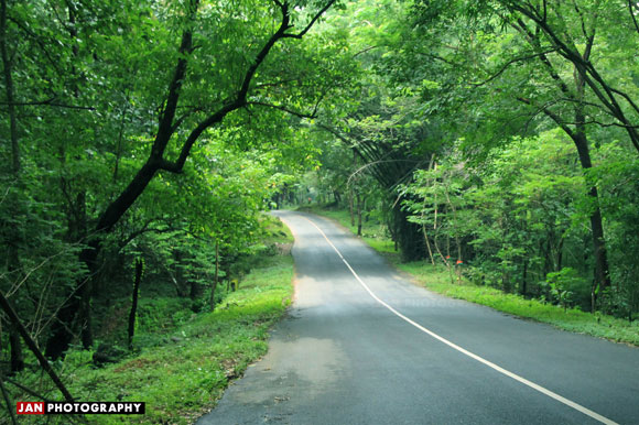 Travel: Driving through a Kerala rainforest