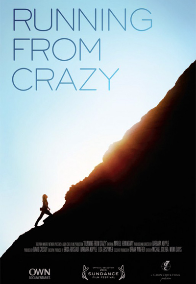 Poster of Running From Crazy