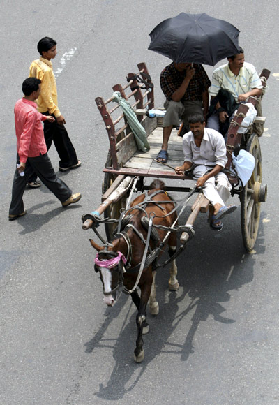 A horse-driven carriage seen in Jammu as commuters resorted to traditional modes in the face of a transport strike in Jammu in 2008.