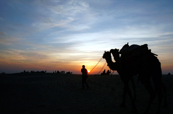 Camels are silhouetted against the setting sun over the Thar Desert at Jaisalmer