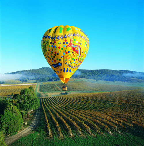 Hot-air balloon over vineyards