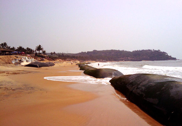 Candolim Beach, Bardez, Goa