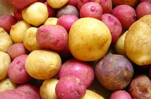 Potato talk: From health benefits to recipes!