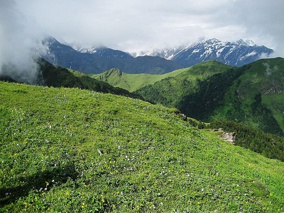 Ali Bugyal, a meadow in Uttarakhand