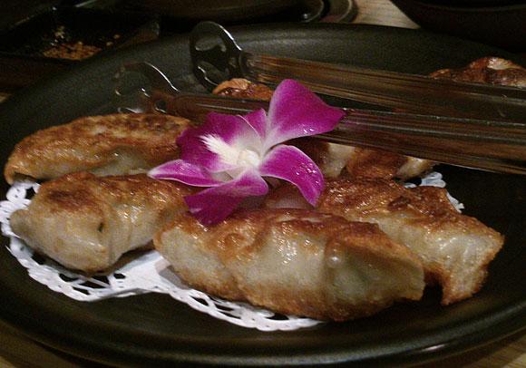 Fried Dumplings