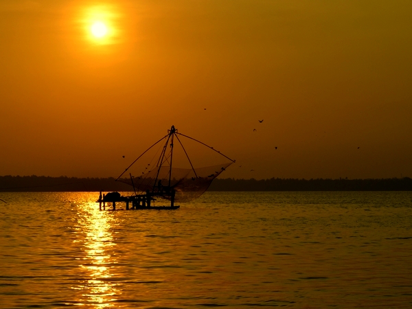 Kerala's famous Chinese fishing nets in Ashtamudi Backwaters, Kerala