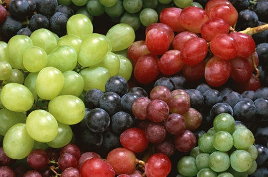 REVEALED: The secret superpower of grapes