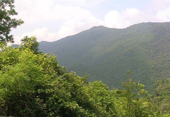 Javadi Hills, Tamil Nadu