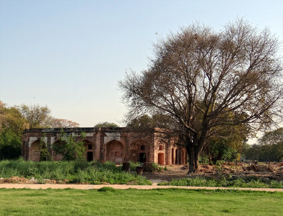 Exploring Delhi: The fascinating Sunder Nursery