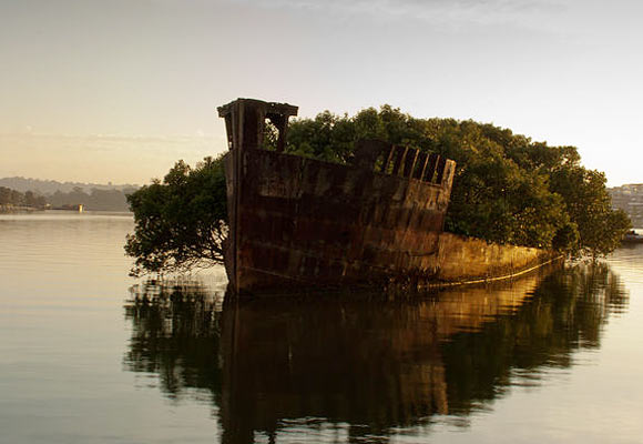 The remains of the SS Ayrfield in Homebush Bay, Australia