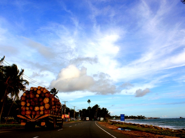 For all practical purposes, Galle Road continues to be one of the arterial streets in western Sri Lanka