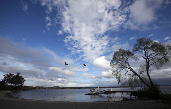 Birds fly over a float plane on the shores of Lake Taupo, known for its natural scenic beauty and outdoor activities.