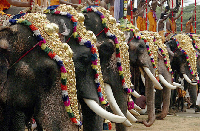 Decorated elephants take part in the Trichur Pooram festival in Trichoor, in the southern Indian state of Kerala