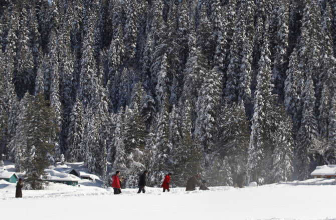 Tourists walk past snow-covered trees in Gulmarg