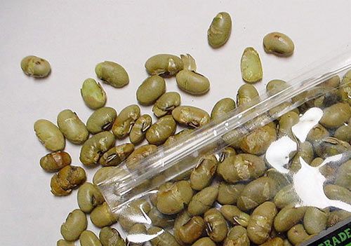A package of toasted soybeans