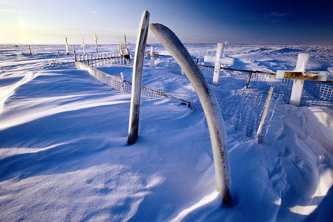 An Inupiat cemetery in Kaktovik, Alaska, marked by bowhead whale jawbones -- a sign of the relationship the Inupiats have with the whale.