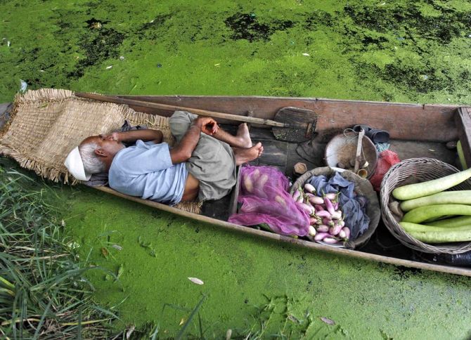 A Kashmiri vegetable vendor takes a nap in his boat at Dal Lake in Srinagar.