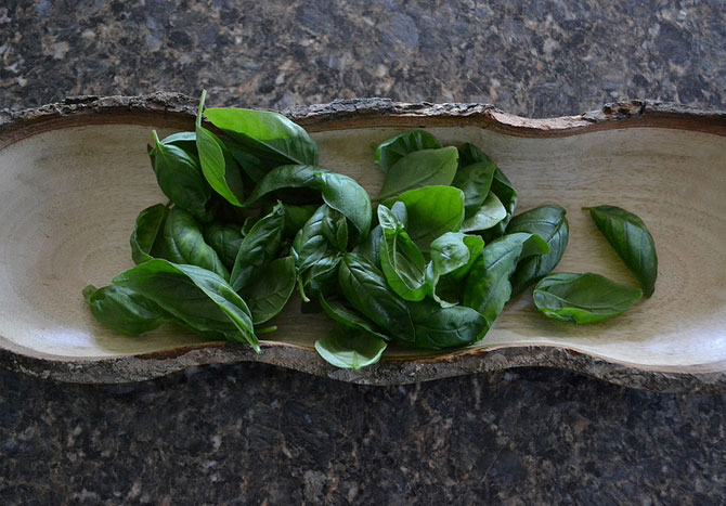 Basil is regarded as an 'anti-stress' agent