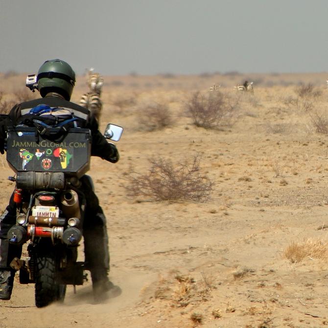 Chasing wild zebras along the dry shore of Lake Turkana, Kenya.