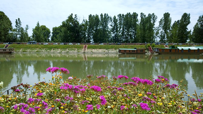 Jhelum River, Srinagar