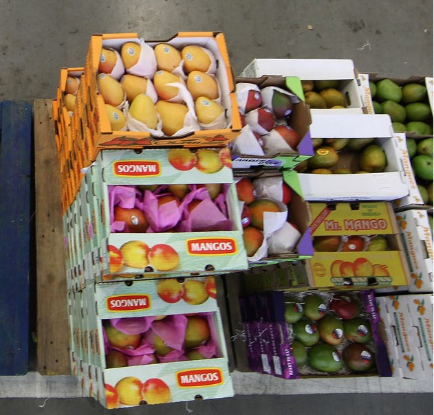 5. Your luggage includes (many) boxes of mangoes