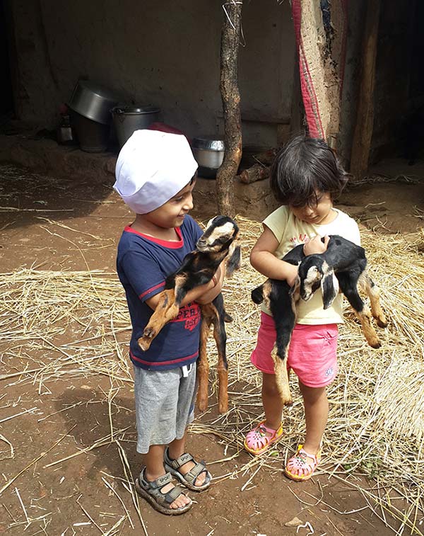 Young kids play with goats in the folk village of Purushwadi.