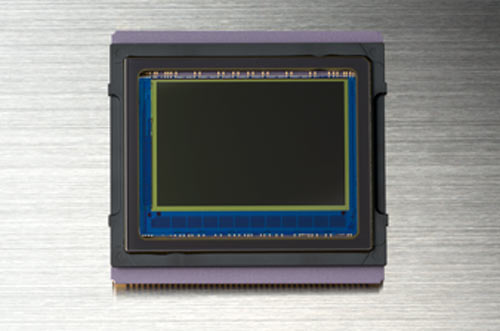 24.1 Megapixel Sensor