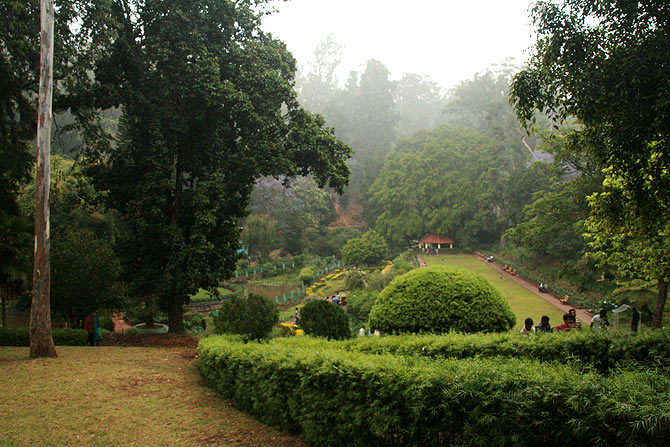 IN PICS: Why Coonoor is a picture-perfect paradise