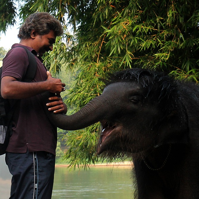 Anand Shinde discovered he could speak with elephants
