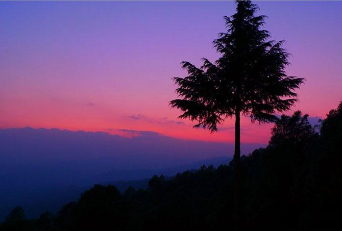 Late evening in Binsar