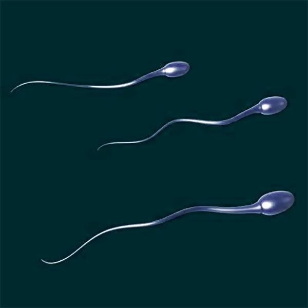 Male infertility linked to early death