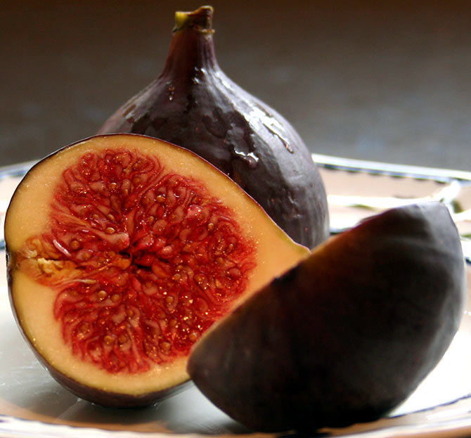 fig