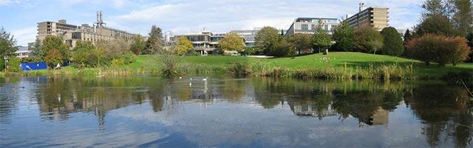 University of Bath