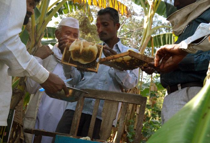 Bee the Change trains the people in bee keeping