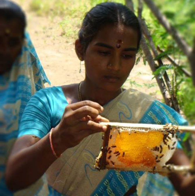 Be the Change also trains women in bee keeping