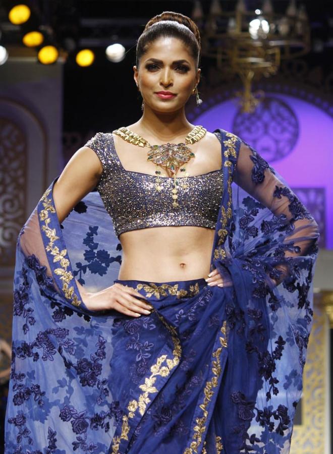 Parvathy Omanakuttan at IIJW 2015